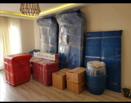 kaushik-cargo-packers3