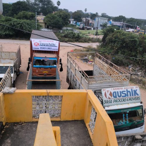 kaushik-cargo-packers6